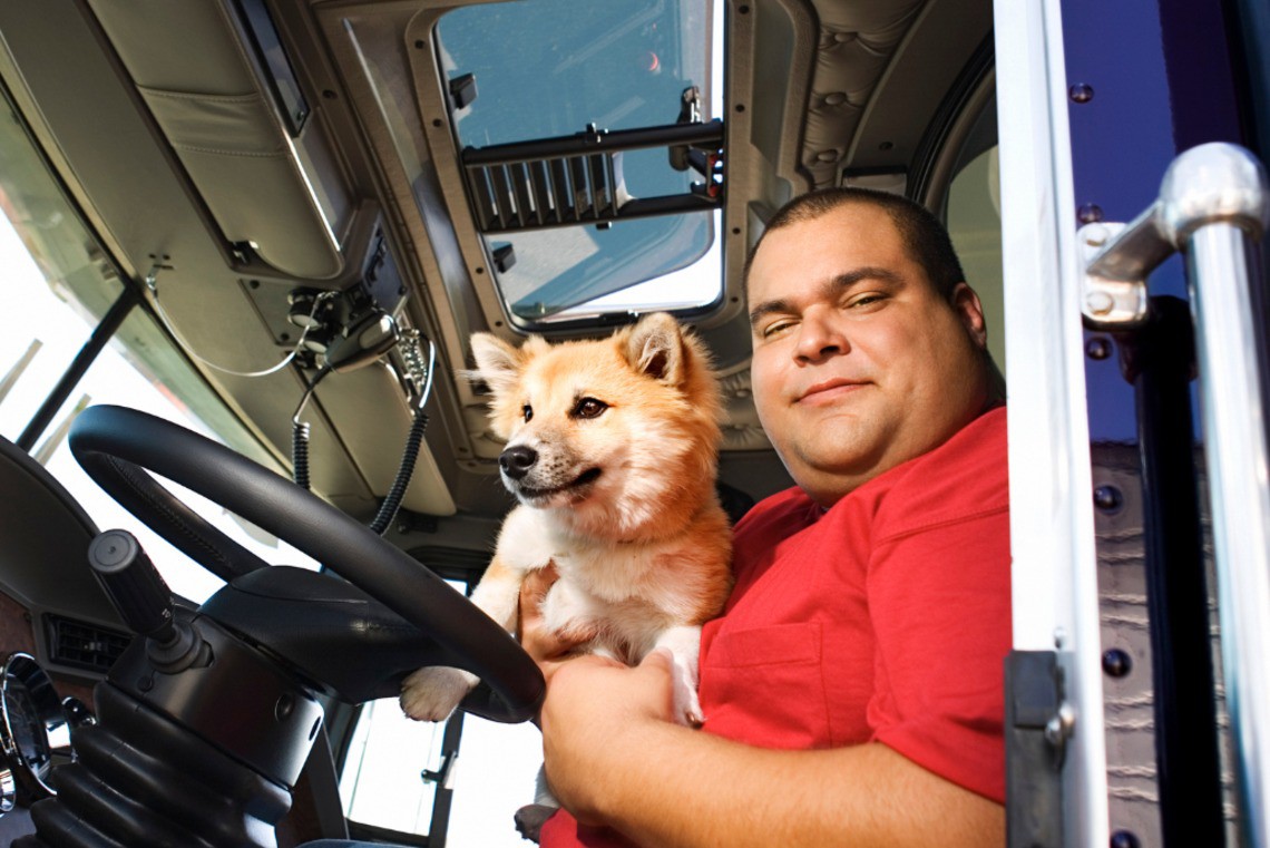 Career as a truck driver